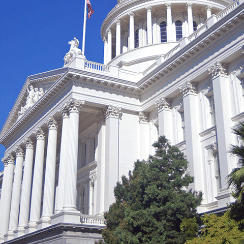 Prime Credit Advisors : Illinois Secretary